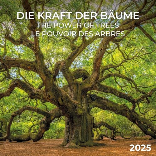 Die Kraft der Bäume 2025: Kalender 2025 (Artwork Edition)