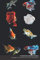 Poissons miniatures Carnet de notes Collectionneur passionné Ichtyophilie: Calepin ligné, répertoriez vos collections, journal ou autre usage | Cadeau Noel Anniversaire