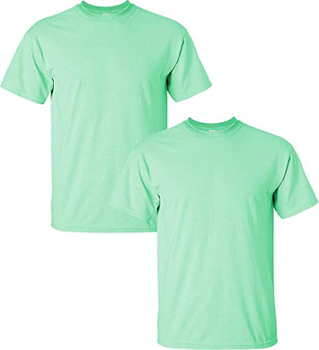 Gildan Men's Ultra Cotton T-Shirt, Style G2000, 2-Pack LRG-Mint