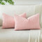 JOTOM 2er Set Cord Kissenbezüge Kissenhülle Dekorative Zierkissen Sofakissen Couchkissen Dekokissen Kissenbezug Deko Kissenhülle für Sofa Wohnzimmer 30x50cm Rosa