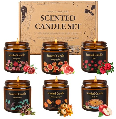 Aeraroma Duftkerze im Glas, 6er- Duftkerze Geschenk für Frauen Herren, 6 x 100g Kerzen für Zuhause Duftende aus Natürlichem Sojawachs, Amber Kerzen für Geburtstag, Weihnachten, Valentinstag