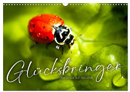 Glücksbringer - Dem Glück auf der Spur. (Wandkalender 2026 DIN A3 quer), CALVENDO Monatskalender: Glücksbringer von überall auf der Welt. (CALVENDO Hobbys)