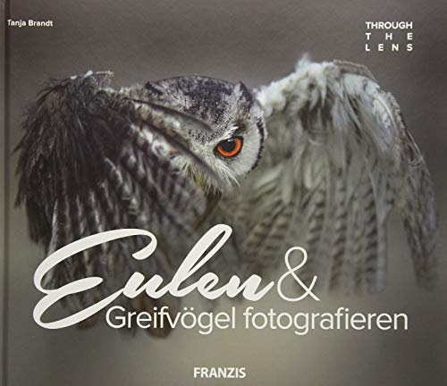 Eulen & Greifvögel fotografieren