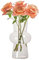 Koomuao Blumenvase Glas,Hydroponische GlasblumenvaseTulpenvase Glasblasenvase für Blumen,Glasvase für Tischdeko,Dekorative Vase für Pampasgras, Tulpen, Orchideen, Rosen, Trockenblumen (Transparent-2)