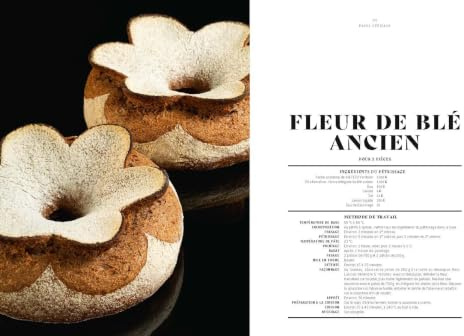 Le grand livre de boulangerie - viennoiserie