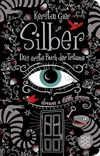 Silber - Das erste Buch der Träume: Roman | Geschenkausgabe im Miniformat (Fischer Taschenbibliothek, Band 1)