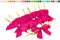 Satinschleifen 5cm x 10 Stück Fuchsia