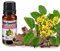 Huile Essentielle de Bois de Rose Sauvage 10 ml | 100% pure et naturelle | Chémotypée | La vie en zen