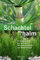 Schachtelhalm: Drachenmedizin aus der Urzeit. Mit vielen Rezepten und Anwendungen. Mit einem Vorwort von Wolf-Dieter Storl