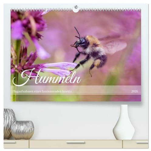 Hummeln - Flugaufnahmen eines faszinierenden Insekts (hochwertiger Premium Wandkalender 2026 DIN A2 quer), Kunstdruck in Hochglanz: Makrofotografien von fliegenden Hummeln (CALVENDO Tiere)