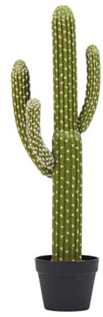 Catral Saguaro, Verde, 82 Cm