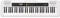 Casio CT-S200WEC5 61 Key Portable Electronic Keyboard in White with Dance Music Mode