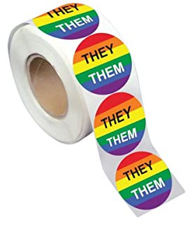 They Them Pronoun Regenbogen Flagge Aufkleber,Regenbogen Pride Aufkleber,LGBTQ Aufkleber Ideal für Spendenaktionen und März,Perfekt für Laptop, Gepäck und Handyhülle (1 Rolle, 250 Aufkleber)