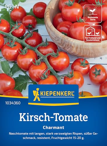 Kiepenkerl Kirsch-Tomatensamen Charmant 1034360 - tolerante Sorte - fruchtig- süß - lange und stark verzweigte Rispen - Samen Gemüse, Gemüsepflanzen, Saatgut