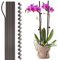 INIFLM 10 Stück Pflanzenstäbchen-Stütze, Biegbare Metall-Orchideenstäbe mit 15 Ranken-Befestigungsclips, Gartenpflanzen-Stützstäbe für Topfpflanzen und Zimmerpflanzen(40cm Braun)