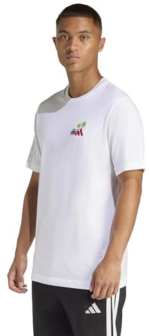 adidas Herren Mini Embroidery Surfing Graphic T-Shirt Grafik-T-Shirt (kurzärmlig) (1er Pack)