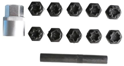 Amagogo Kit chiave per dado di bloccaggio ruota Kit di rimozione del bloccaggio ruota Strumento per la rimozione automatica dei dadi portatile per