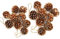 18 Piezas Decoraciones Navideñas Conos de Pino Conos de Pino Secado Natural de Navidad Colgante Adorno para Bricolaje Arte Decoración del árbol de Navidad, 2 Tamaño