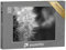 puzzleYOU: Puzzle 500 Teile „Makrofotografie Einer Pusteblume, schwarz-weiß“ – aus der Puzzle-Kollektion Fotokunst