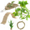 Navaris Bartagamen Zubehör - Reptilien Zubehör - Zubehör fürs Terrarium - 5er Set - Bartagamen Hängematte - Terrarium Zubehör - Bartagamen Spielzeug