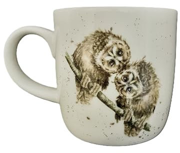 Royal Worcester Wrendale Deigns Two Heads are Better Than One Owl 0.3 Litre Mug