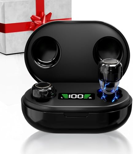 Rechargeable Hearing Aids with Charging Case | 30H Playtime, 3 Modes (Meeting/Sport/Outdoor) | 6 Silicone Ear Tips, LCD Display, Cleaning Brush | IPX7 Waterproof, Bluetooth 5.3