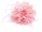 Flower Feather Bead Corsage Hair Clips Fascinator Hairband and Pin (Baby Pink)