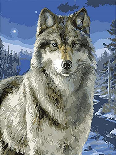 Diamond Painting Set, Bild mit Motiv Wolf und Zubehör, Größe ca. 33 x 44 cm, Bastelset zum Malen mit Glitzersteinchen für Kinder ab 5 Jahren