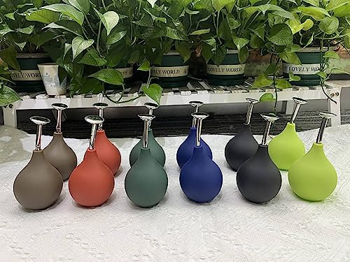 Allrounda Gießbrause Ball Bonsai Sprüher Edelstahl Ausguss, Gießkannen Alternative für kleine Pflanzen Stecklinge Blumen Setzlinge (6er Set