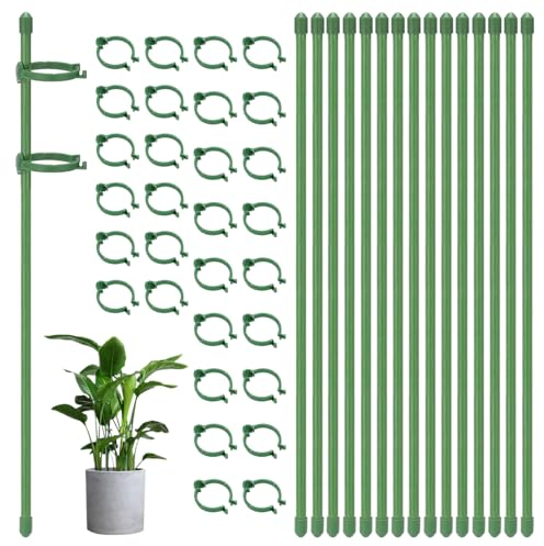 15 Stück 31cm Pflanzenstab mit 30 Stück Pflanzenbinder, Pflanzenhalter, Orchideen Stäbe, Blumenstütze Zimmerpflanzen, Blumenhalter,Pflanzenstütze Rankhilfe Zimmerpflanen,für Haus Garten Kletterpflanze