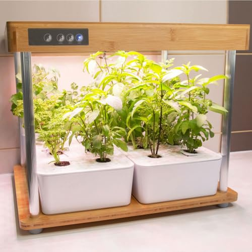 Bioponis - Bamboo 2 - Orto da Interno Idroponica per Piante Aromatiche - 16 Piazzole di Coltivazione