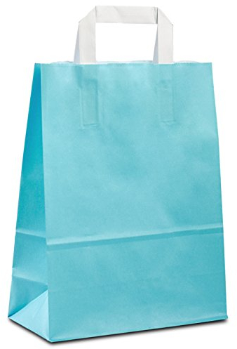 250 x Papiertüten hellblau 22+10x28 cm | Papiertragetaschen mit Henkel | Kraftpapiertüten | Papiertaschen klein | HUTNER