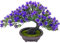 Fycooler Künstliche Formgehölze Bonsai,Aesthetic Japanische Pflanzen,Topfset,Bonsai Baum im Topf Kunststoffkräuter,Formgehölze für Wohnzimmer Schlafzimmer Dekoration