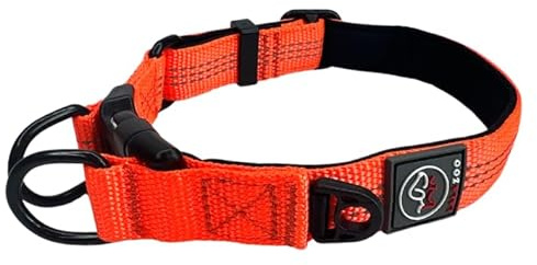Lalazoo RICO Hundehalsband – Verstellbar Gepolstert Reflektierend mit Doppeltem D-Ring – Weich & Robust – Komfortables Hunde Halsband für Kleine Mittlere & Große Hunde – Orange, L