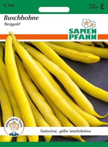 SAMEN PFANN® Buschbohne, Berggold - Bohnen-Samen Gemüse-Samen Saatgut Samen (Phaseolus vulgaris)