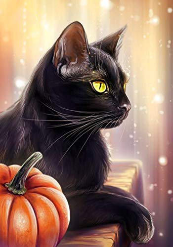 5D Diamant Malen nach Zahlen Kits, 5D Malerei Kinder Diamant Painting Bilder Voll Set Schwarze Katze voller Bohrer Strass Stickerei Kreuzstich Bilder Kunst Basteln für Zuhause 30x40 cm