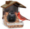 Wasserstein Vogelhaus-Kamera-Gehäuse kompatibel mit Blink, Wyze und Ring-Kamera - Vogelfutterstation für Vogelbeobachtung mit Ihrer Sicherheitskamera - (Kamera Nicht enthalten)