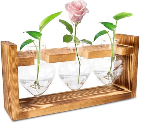 Glas Propagation Station für Pflanzen,Ableger Pflanzen Glas mit Holzständer,Vintage Kleine Vasen Für Tischdeko,Modern Vasen für Hydrokultur Pflanzen,Reagenzgläser Blumenvase für Home Wohnzimmer Büro