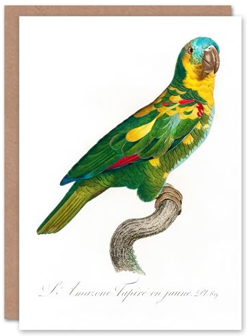 Artery8 Francois Levaillant Art Card The Turquoise Fronted Amazon Parrot