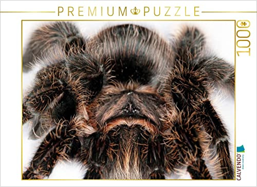 CALVENDO Puzzle Vogelspinne | 1000 Teile Lege-Größe 64 x 48 cm Foto-Puzzle für glückliche Stunden