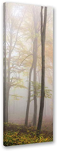 Feeby Impression sur Toile Intissee Automne Nature 40x100 cm Tableau Moderne Tableau Photo Chambre à Coucher Forêt Dans La Brume beige