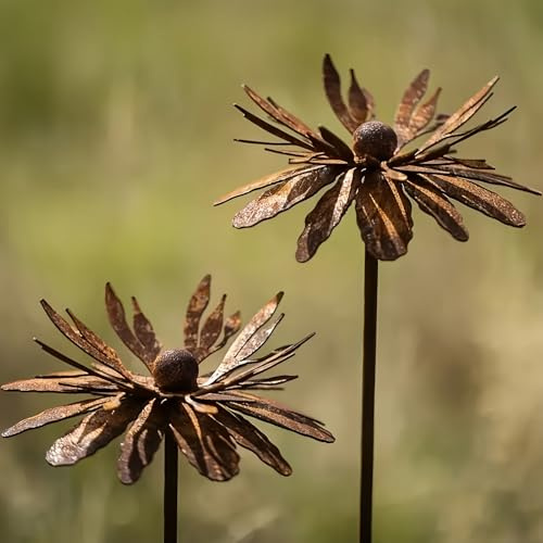 yeeplo 2er Rostige GartendekoSet Rost Deko für Garten Cortenstahl Gartenstecker Metall Blume Mohn Gartendeko Rost Rankstab Beetstecker Topfstecker Naturrost (A)