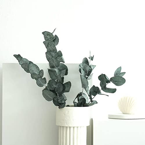 Lykke & You Konservierter Eukalyptus Cinerea - EIN Hauch von Natur, der bleibt!