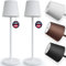 charlique® LED Tischlampe kabellos (Doppelpack) - Dinner Light weiss 38 cm - Akku Tischleuchte mit USB, aufladbar, warmes Licht, indoor & outdoor geeignet