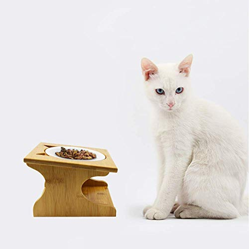 Petsoigné Haute Gamelle pour Chat et Chiot Bol Incliné pour Chat et Chien avec Support en Bois (1 Bol, Céramique)