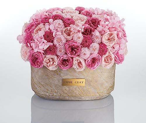 Solid Infinity Collection Golden Sand Oval - Traumhafte Infinity Rosen, 1-3 Jahre haltbare Rosen, Betonvase mit echten, konservierten Rosen, edle Premiumrosen - Größe M (Mix)