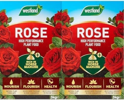 Westland Horse Manure and Plant Stimulant Enriched Rose Food, 3 kg (Pack of 2)