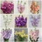 350 pcs levkojen samen mehrjährig, hochbeet samen, winterharte balkonpflanzen,usambaraveilchen pflanze blumen für balkon, bio saatgut blumen balkon, bonsai samen gartenpflanzen winterhart,