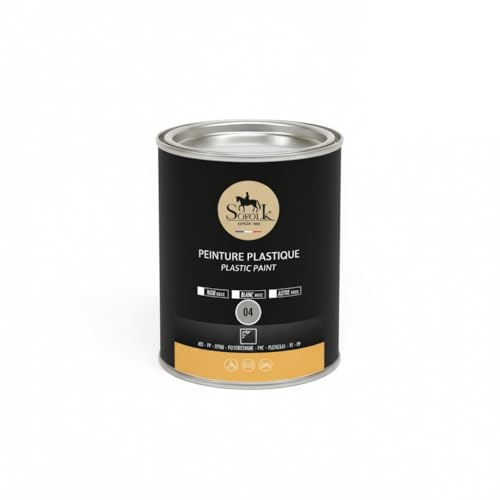 SOFOLK Peinture Plastique Haute résistance pour Auto, Tableau de Bord, Garnitures de Porte, Pare-Choc - 250ml (04-GRIS, BRILLANT)