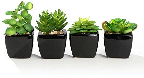 Nattol Moderne Mini künstliche Sukkulenten Pflanzen Topf in Würfelform Schwarze Keramik Töpfe für Home Decor 4 Stück